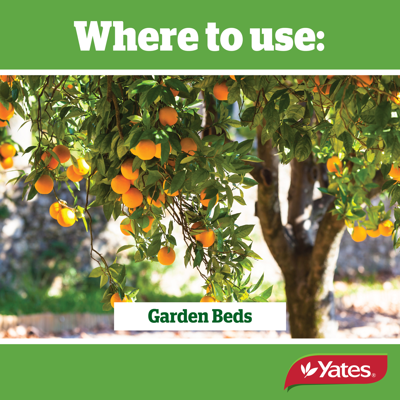 Yates Web Info LIME SULFUR V2 02