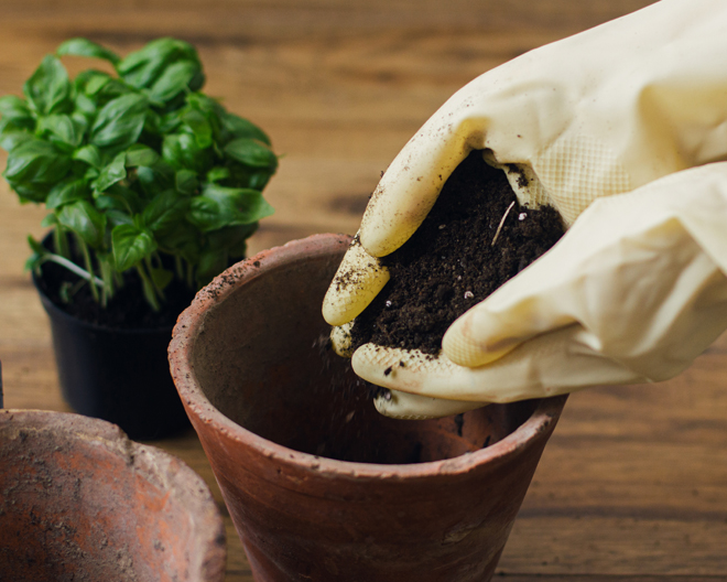 Safety with Potting Mix