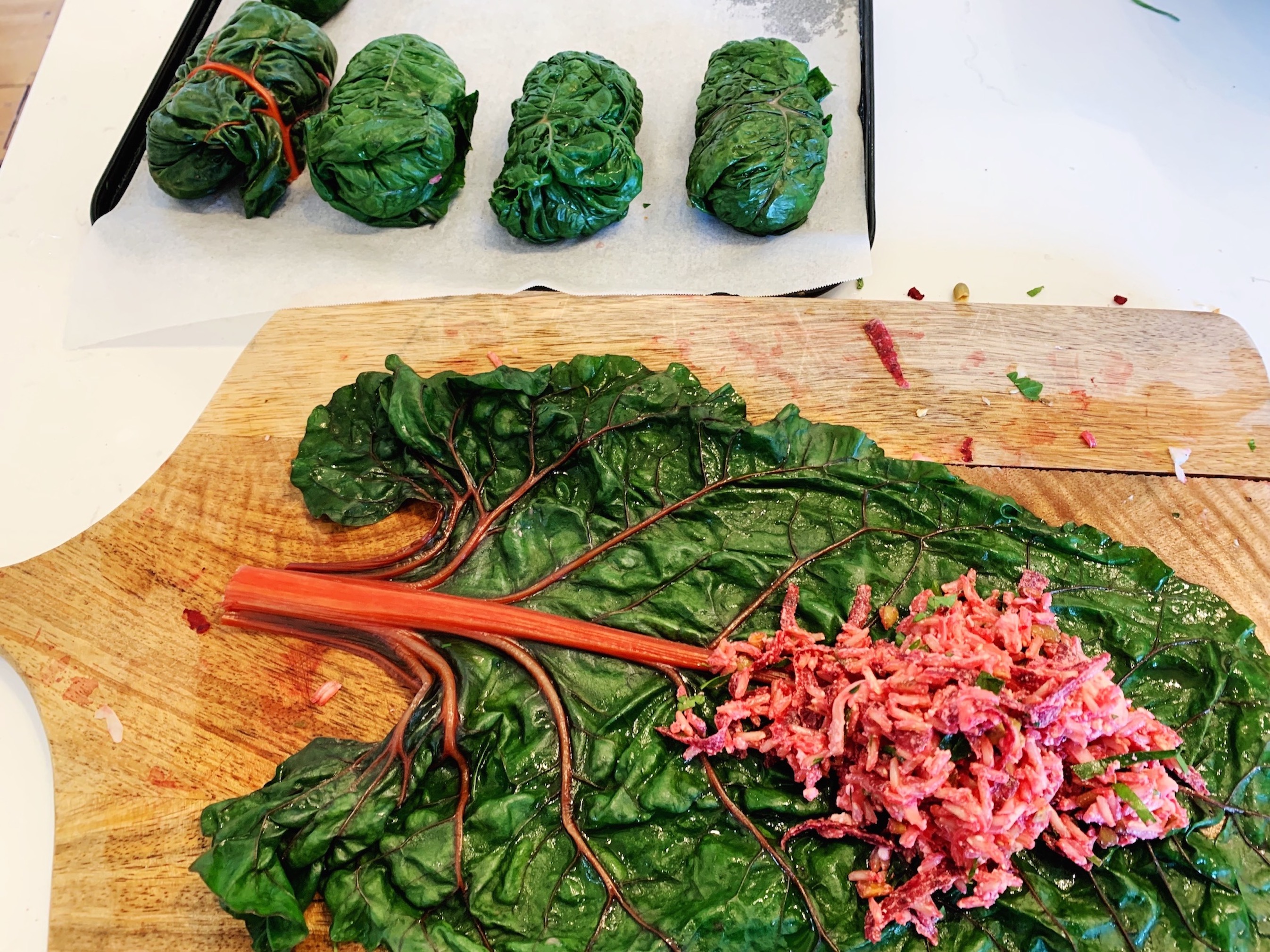 THE SILVERBEET FILES