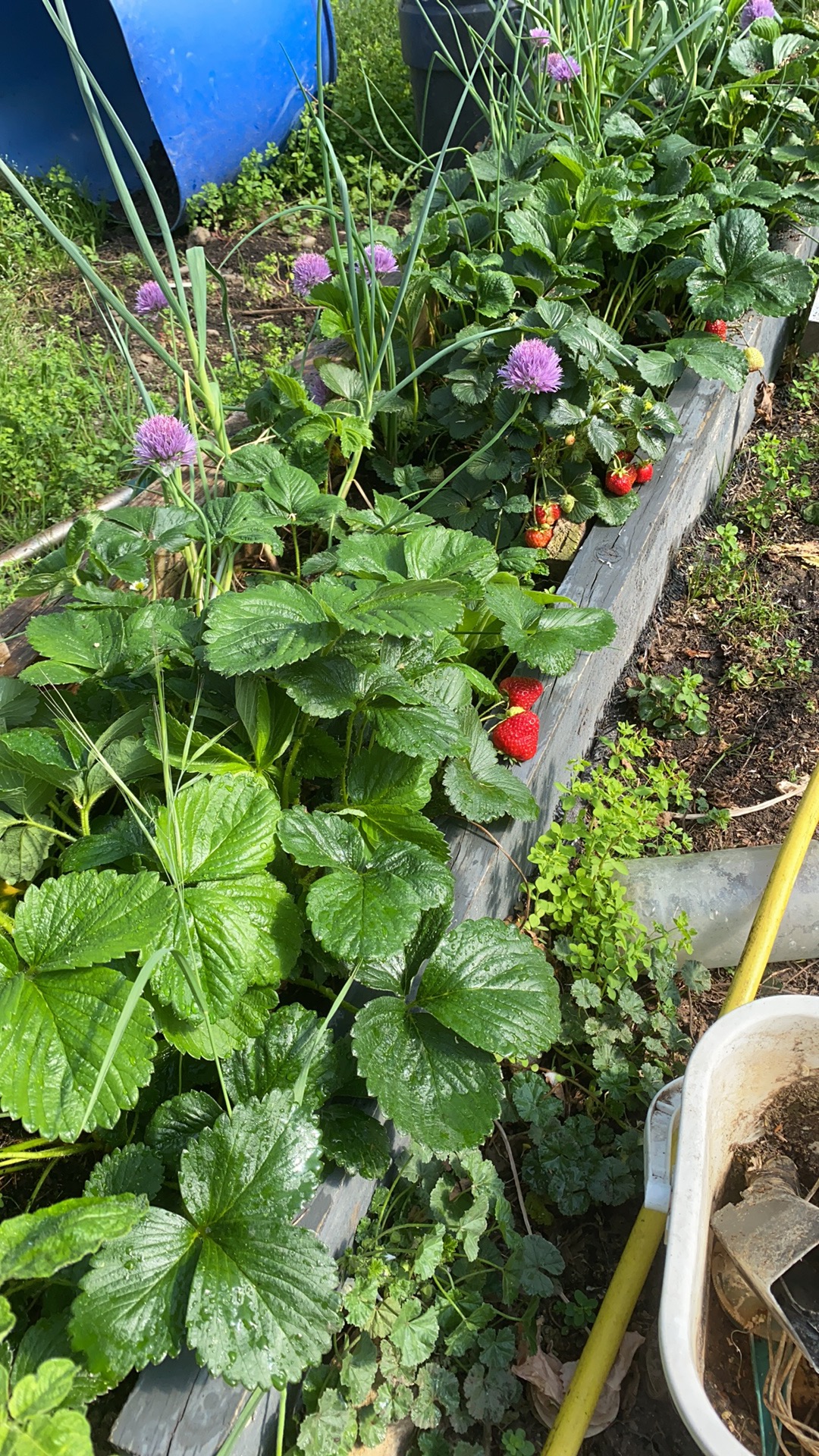 For you to feed us first I must feed you 