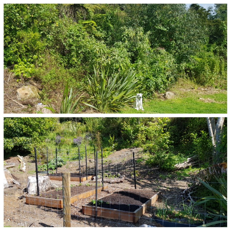 Not Ready to Plant Just Yet