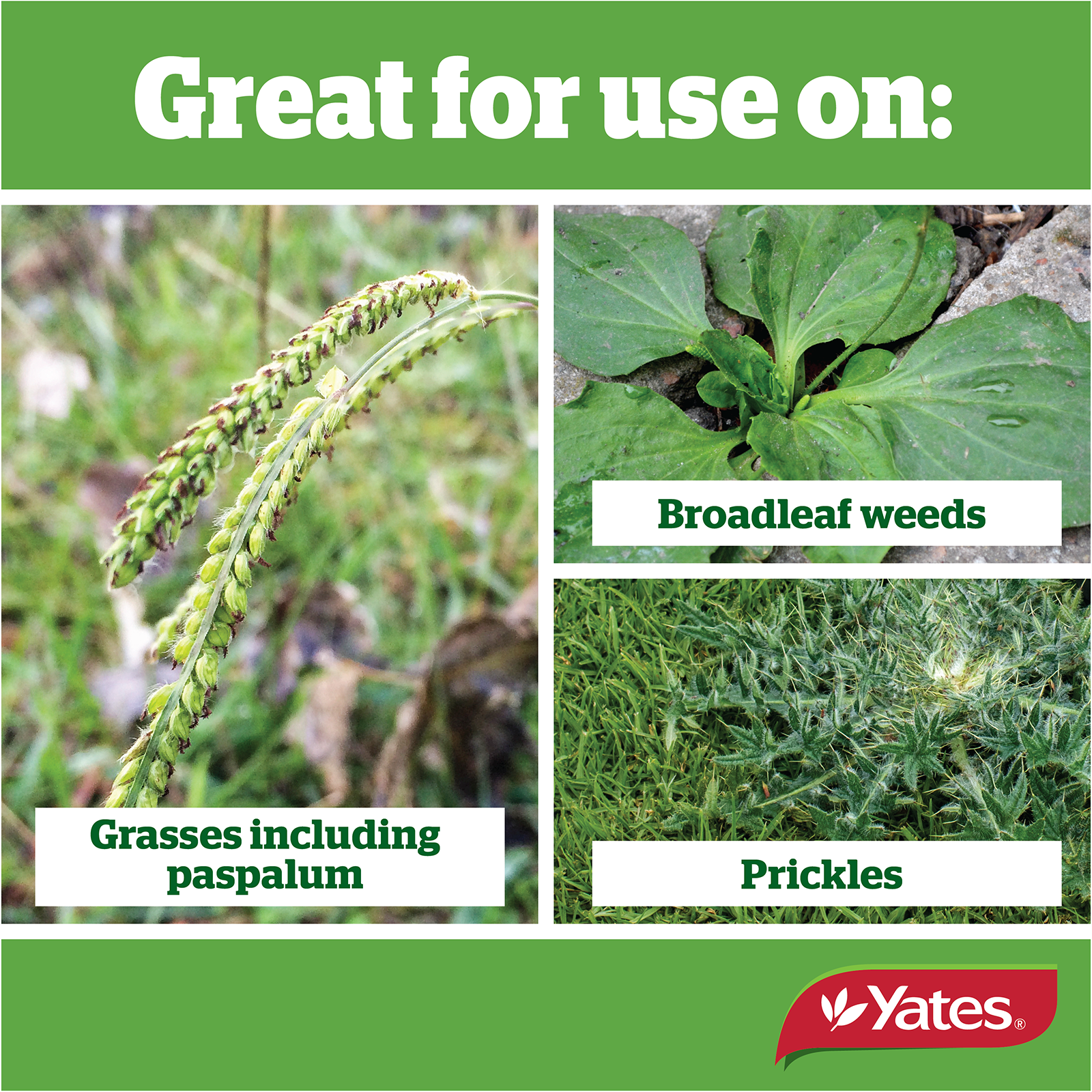 Trp Strike RTU V1 04