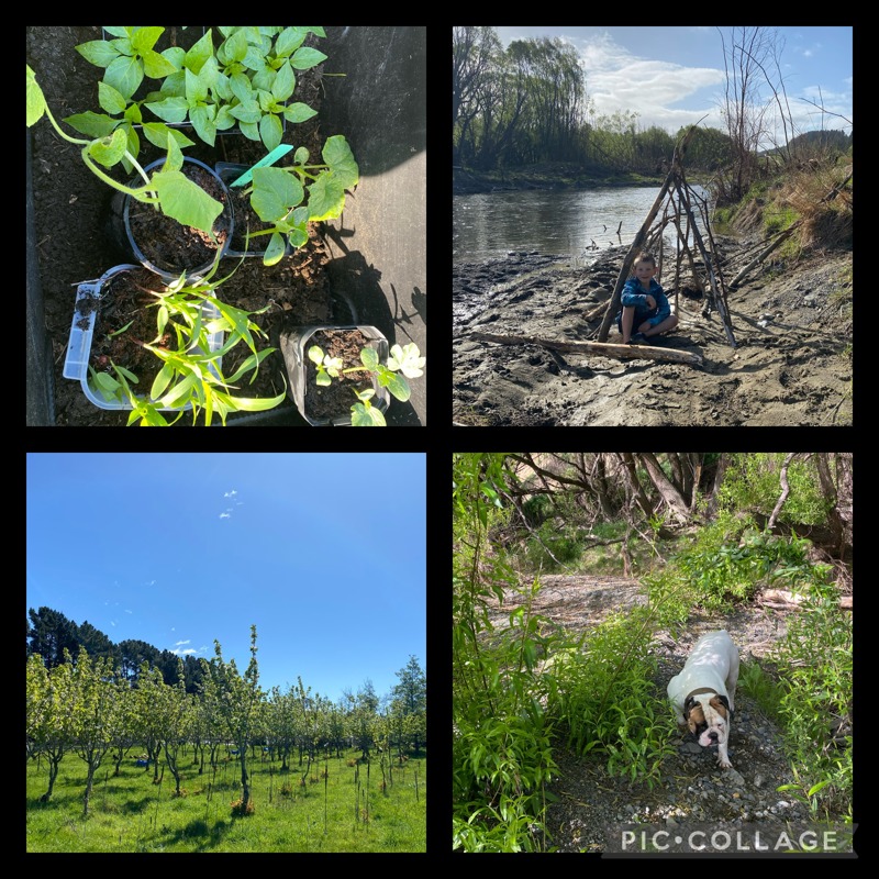 100% more today than yesterday