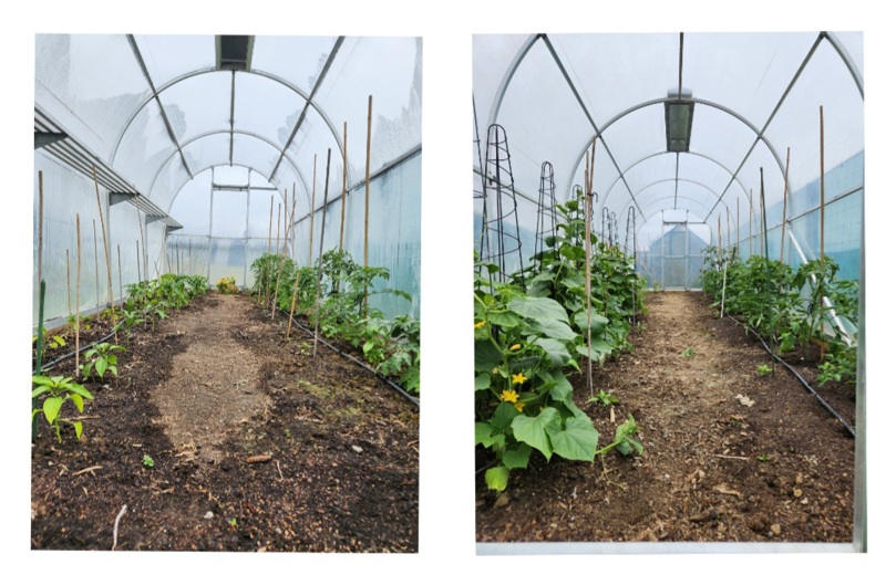  Last of the Vegetable Growing Spaces
