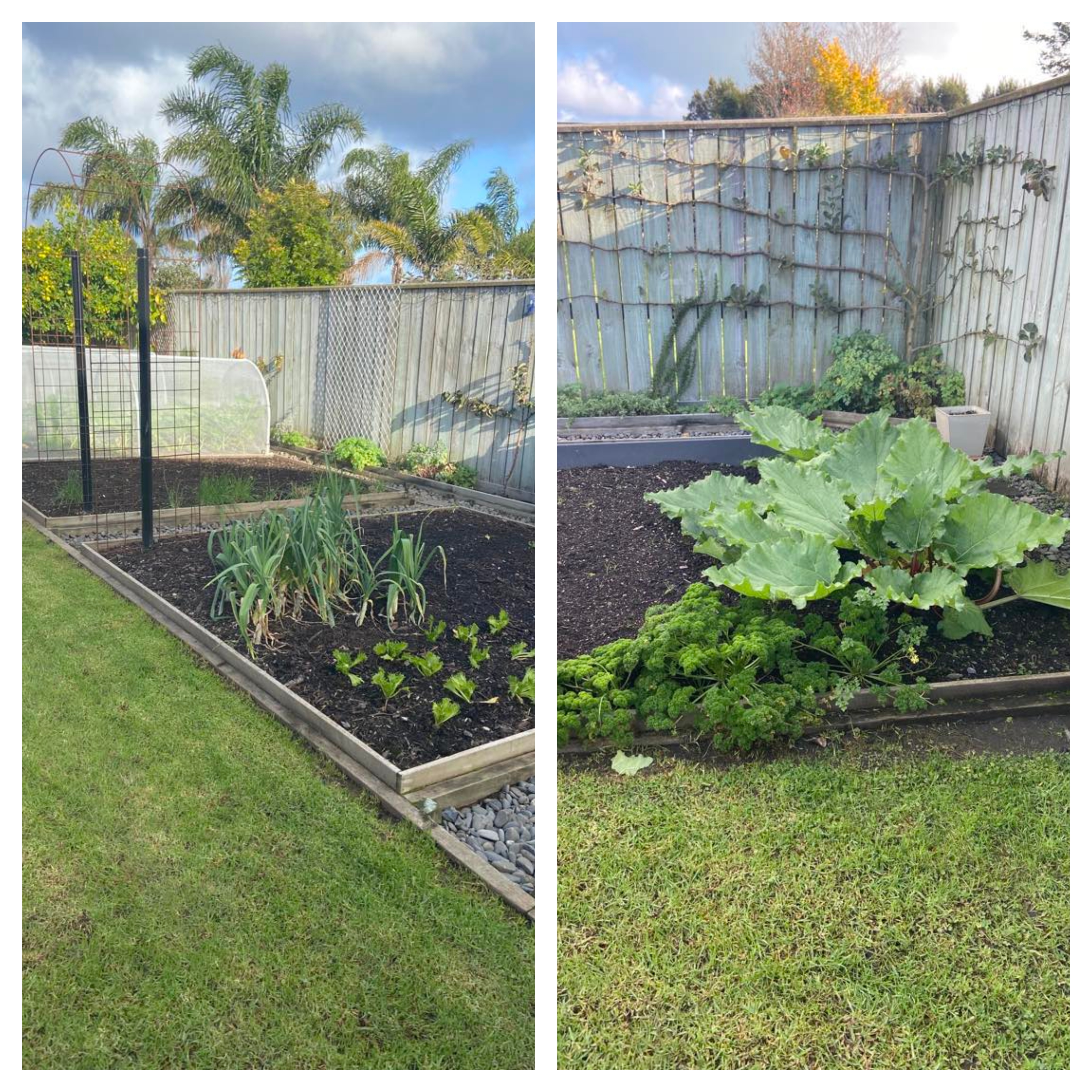 Available Real Estate