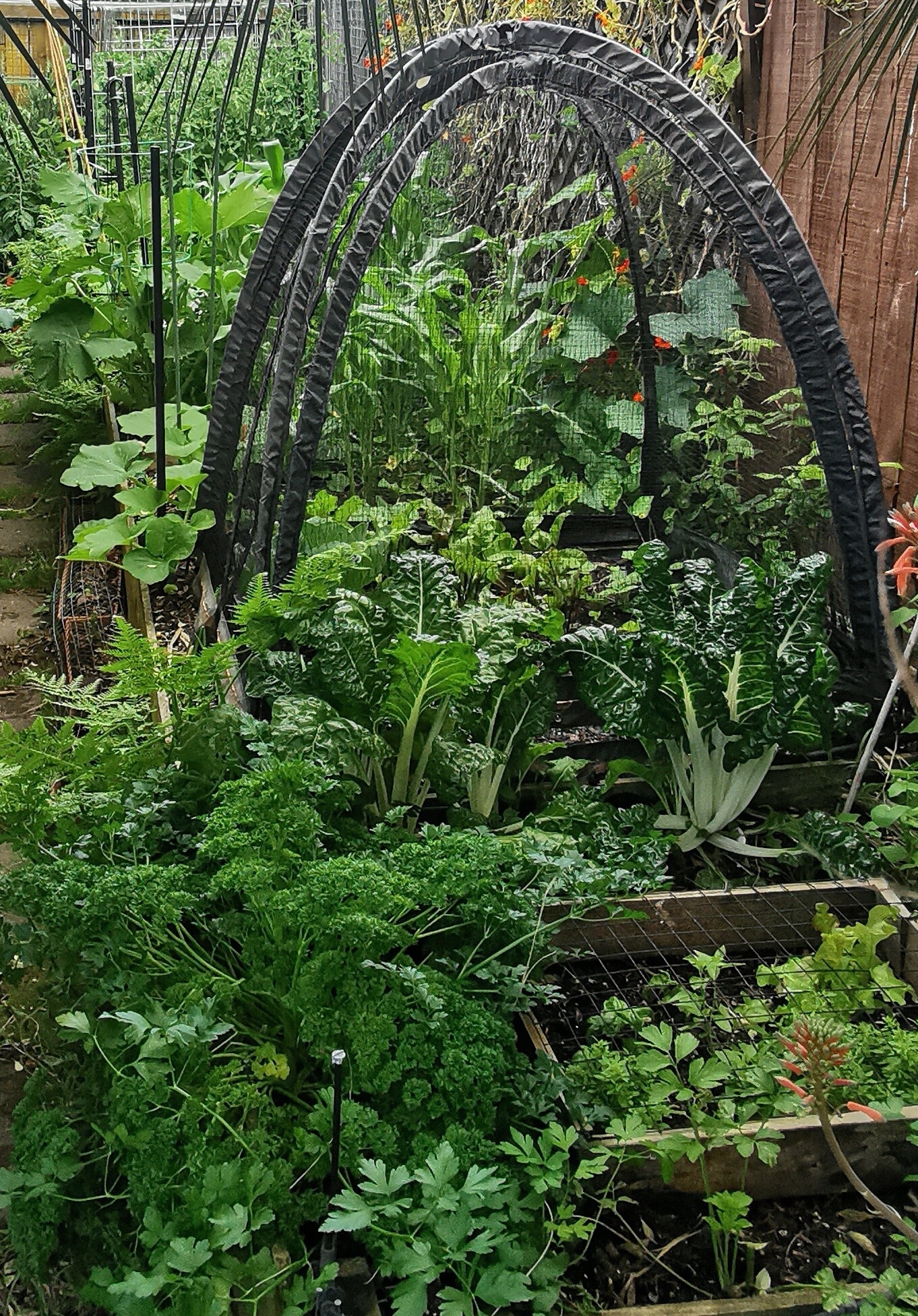  Taking shape... around the corner 2