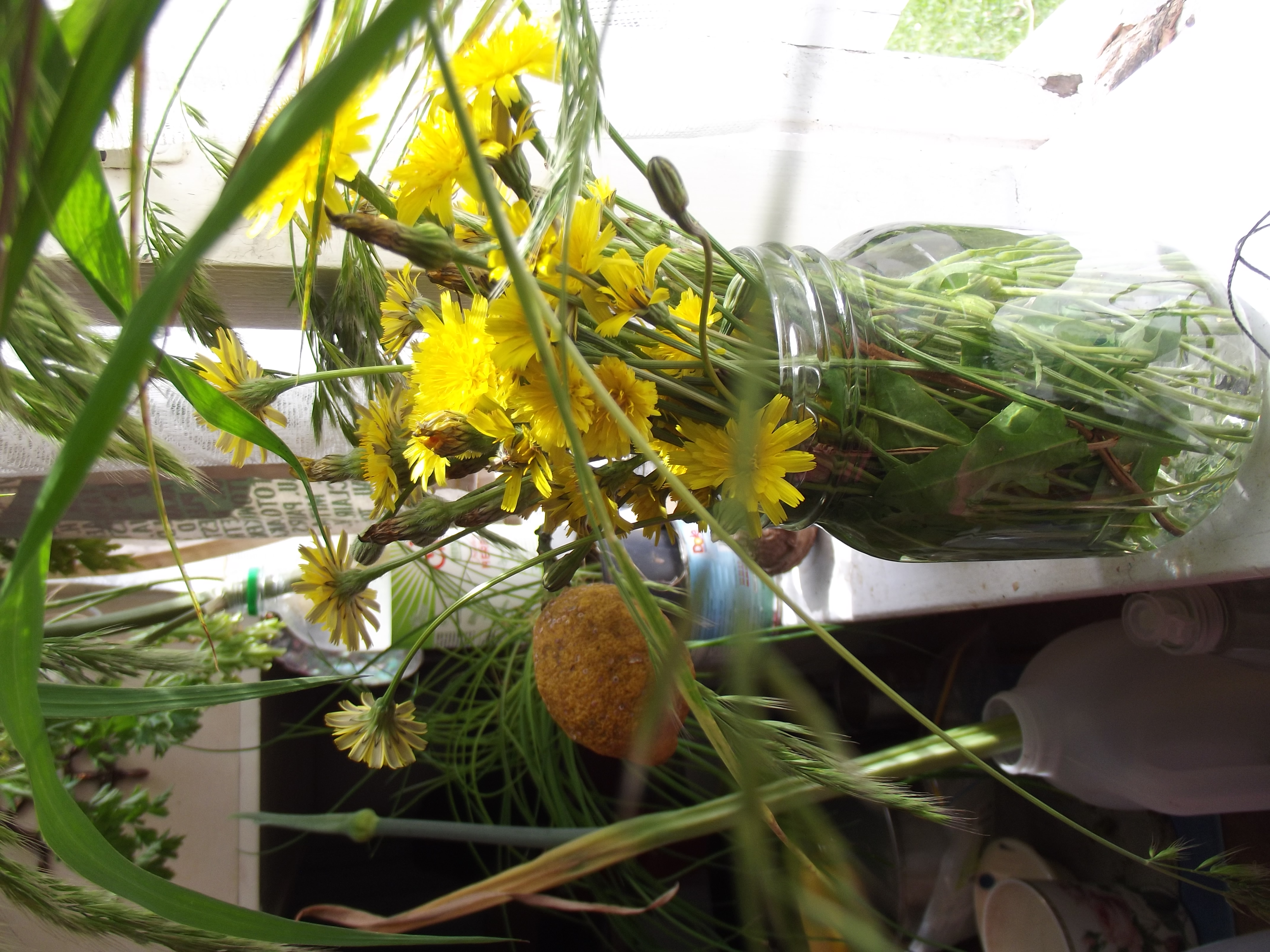 A Little Jar of Sunshine ...