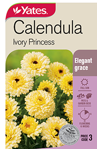 Yates Y35 976 Calendula Ivory Princess 2021