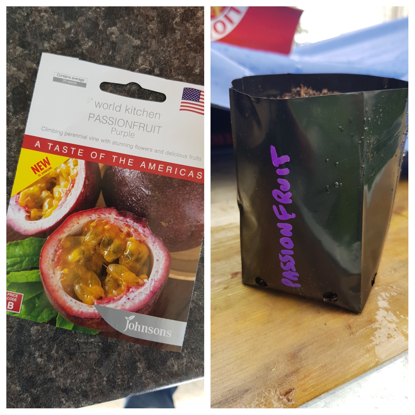 Plenty Of Time For Passionfruit 