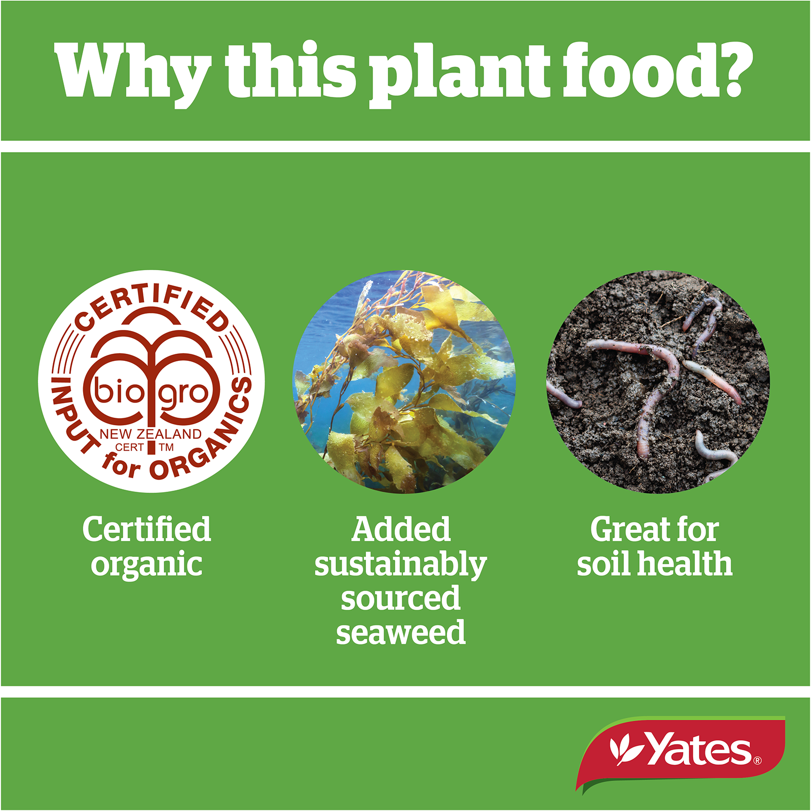 Yates Blood & Bone Fert V2 04