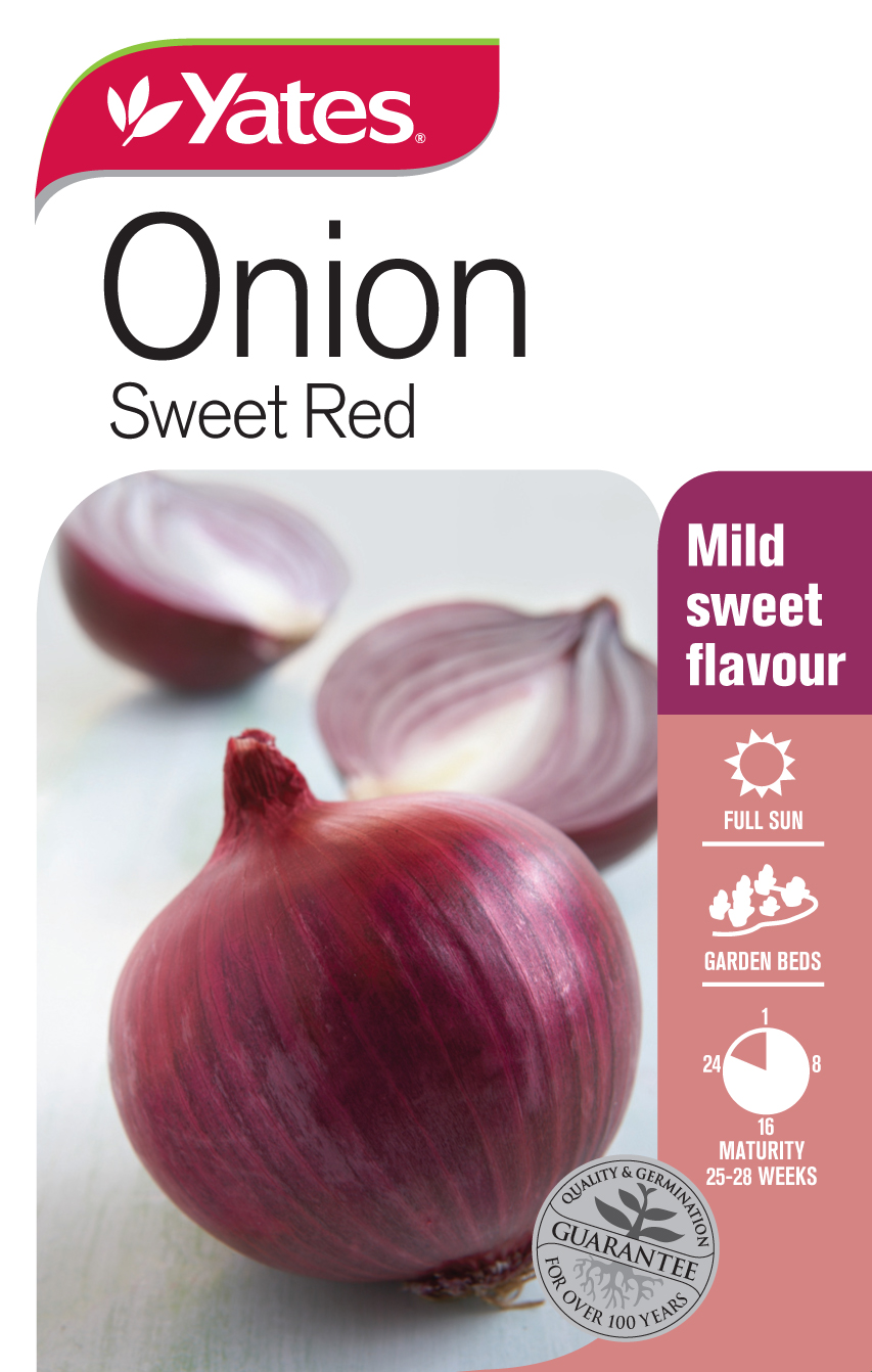 Top 10+ How to grow a onion 5 How to Grow Onions - Palmers Garden Centre