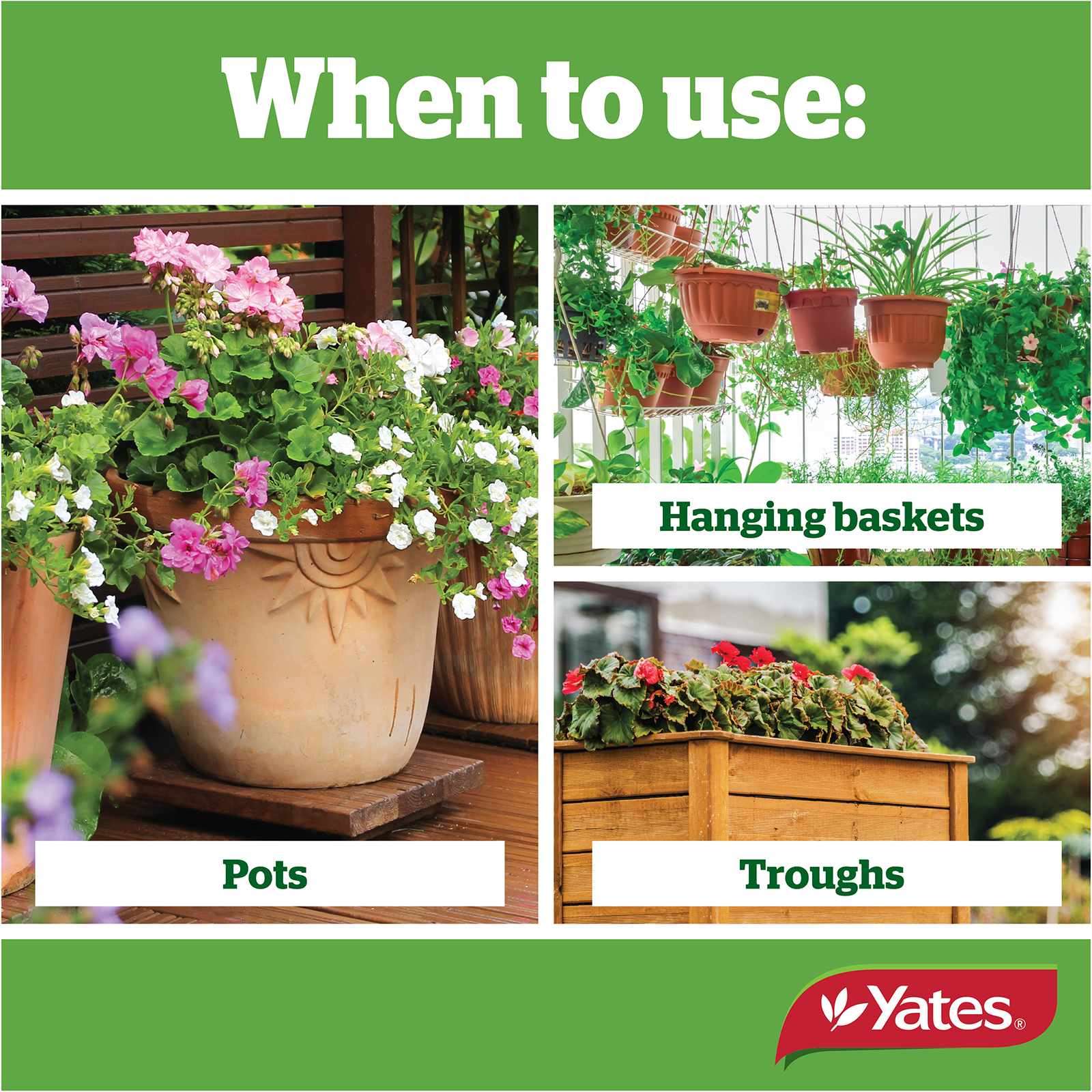 Yates Thrive Premium Mix V2 07