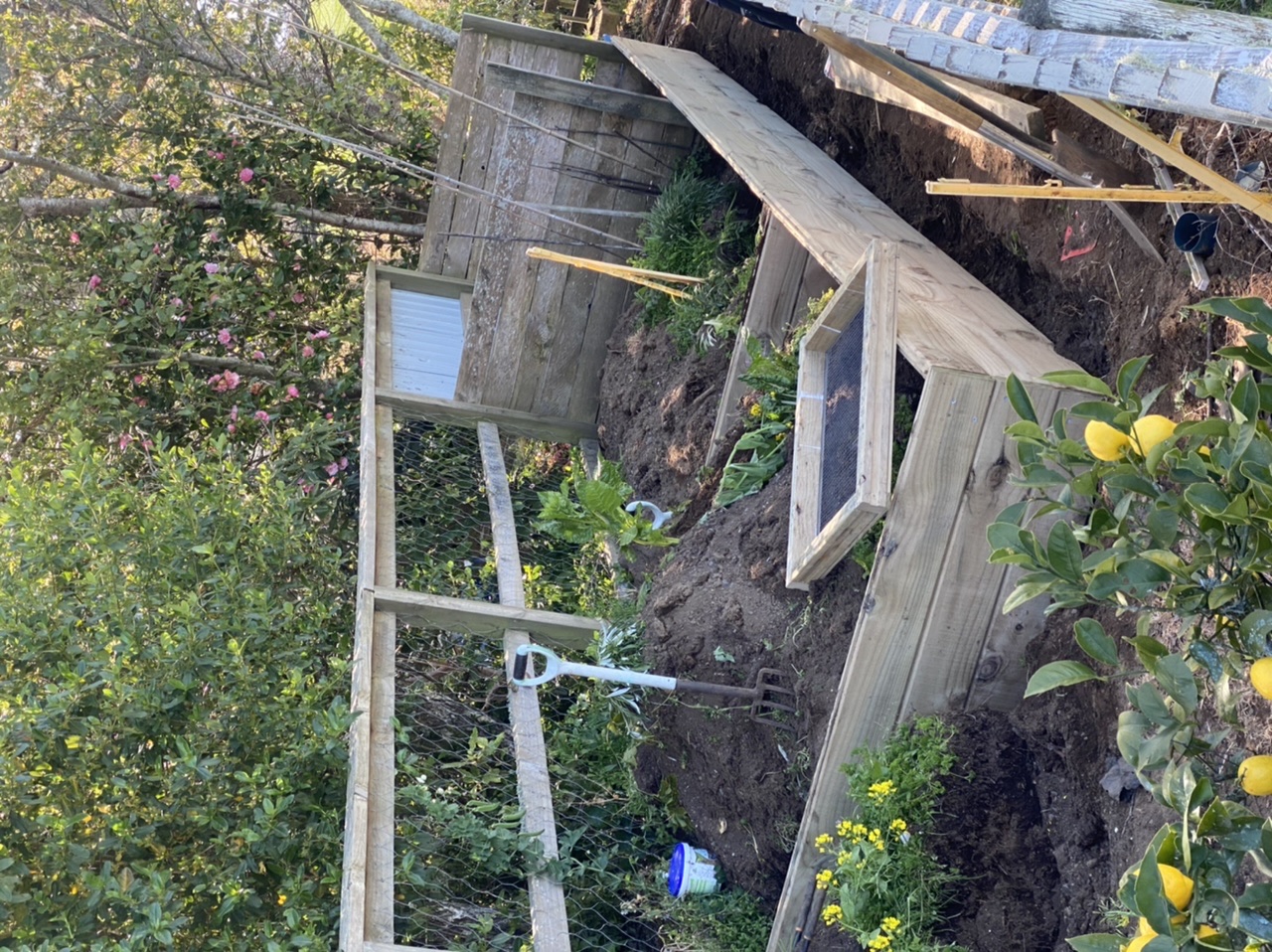 Got to love progress!!