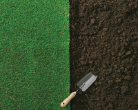 Guide on how to establish lawn by seed