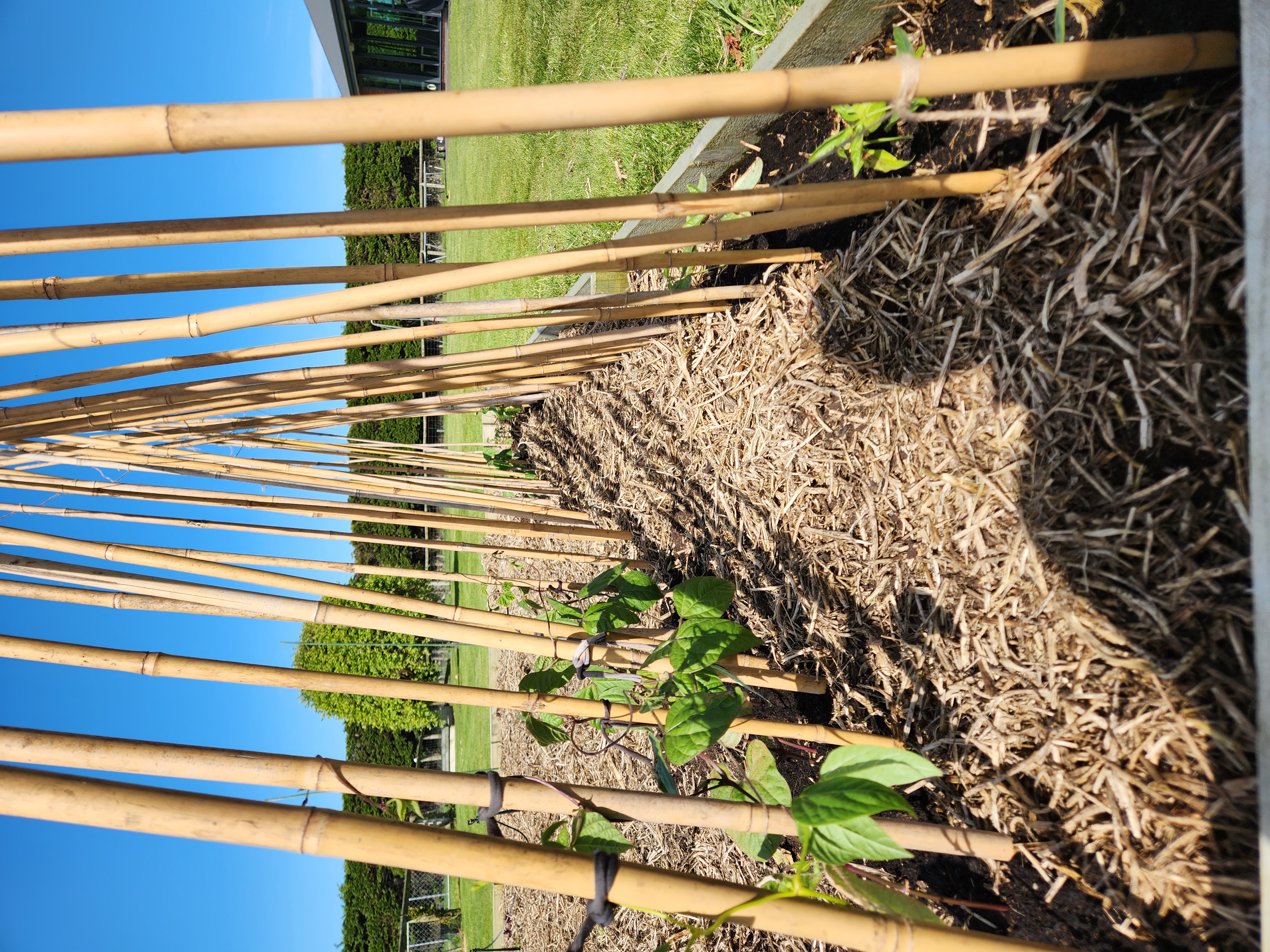 More are out into the big wide world