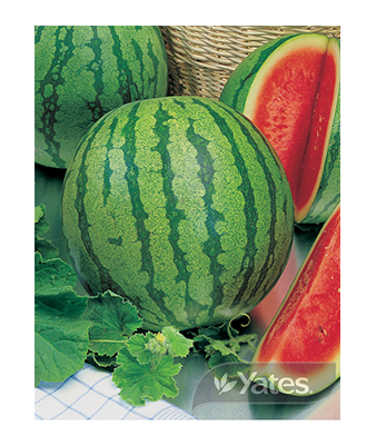 Watermelon Country Sweet Product