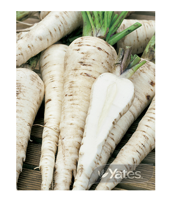 Parsnip Hollow Crown Product