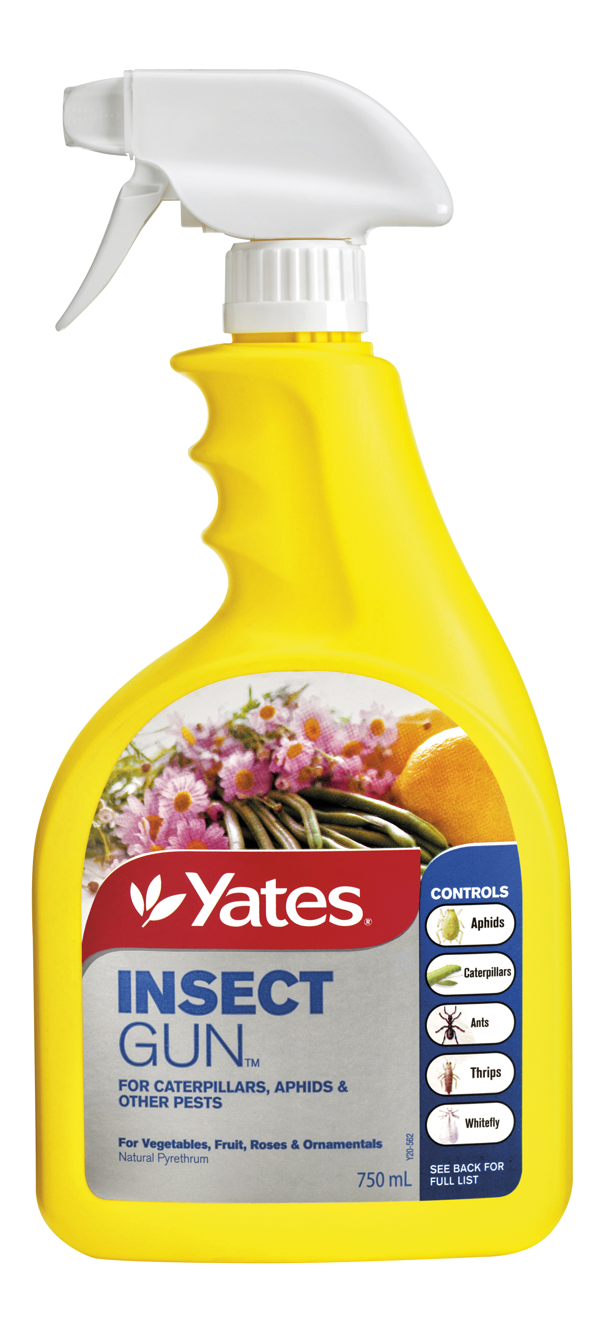 Yates Insect Gun Ready to Use