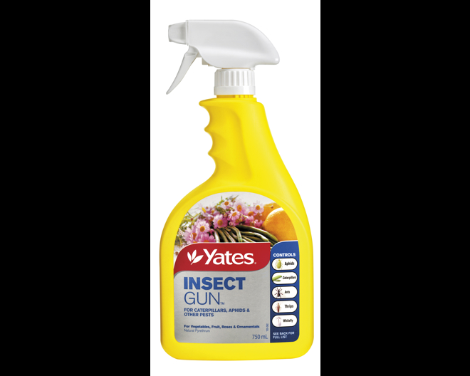 Summer Insect Control | Yates