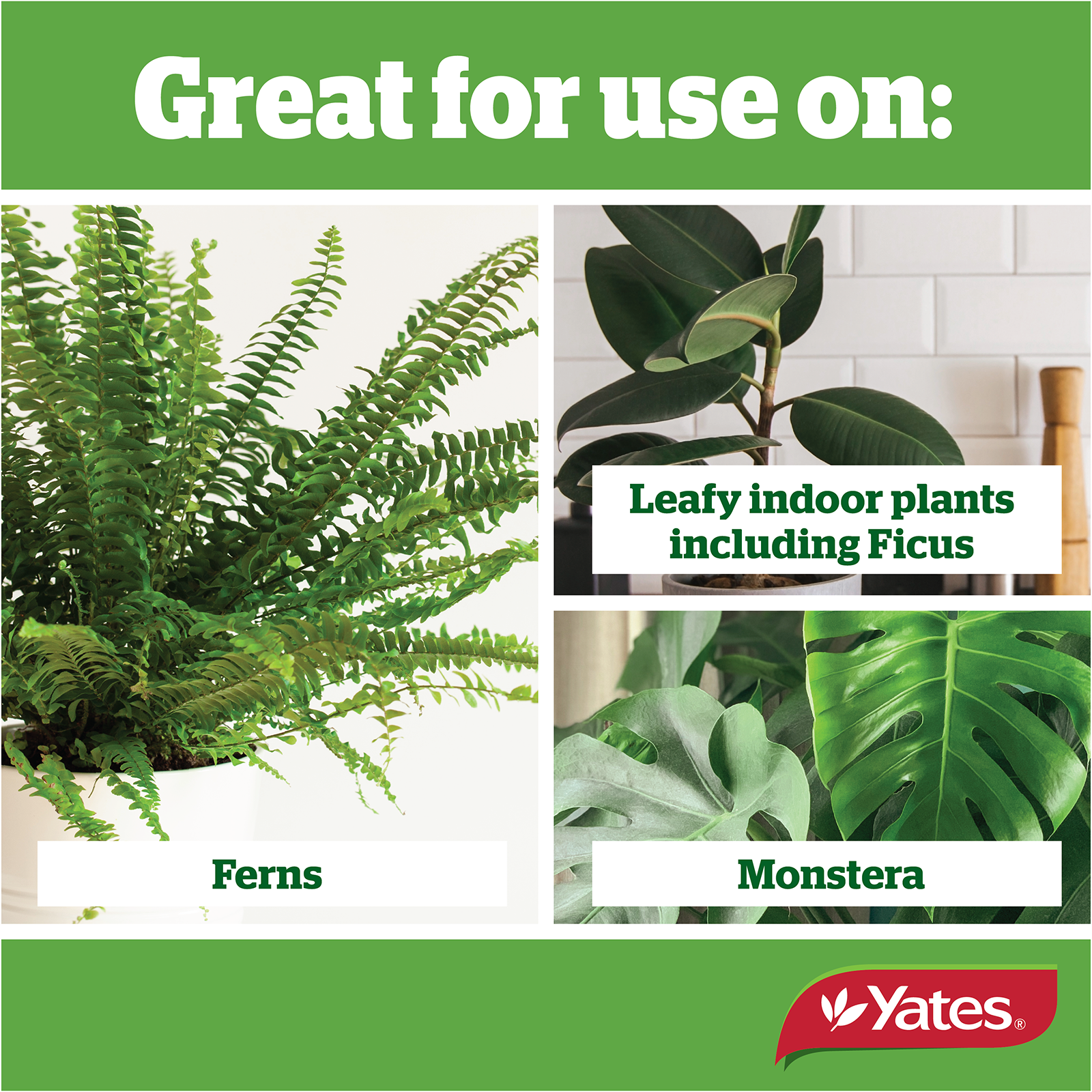 Yates Plant Indoor Liquid V2 02