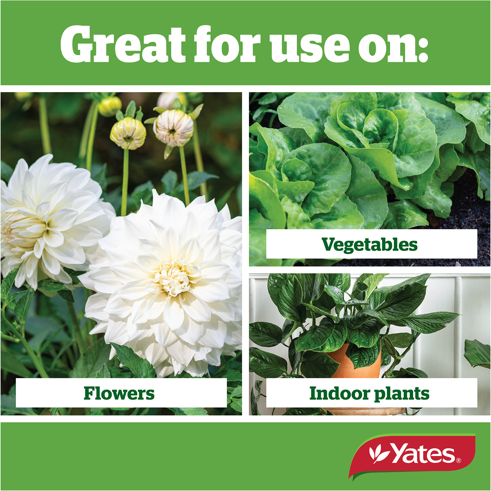 Yates Citrus All Purpose V2 04