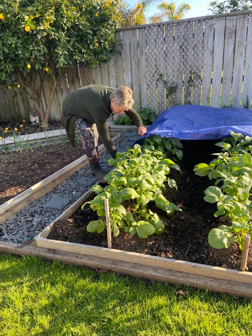 Fashion in the Garden