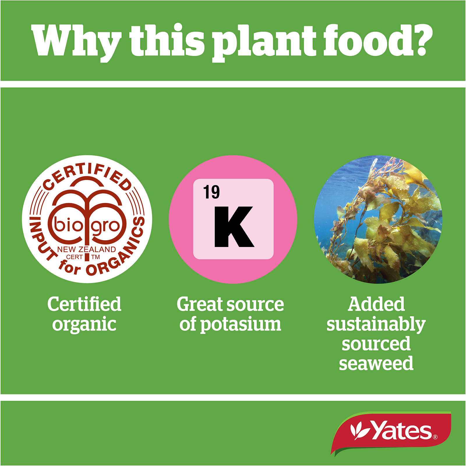 Yates Potash Fert V2 04