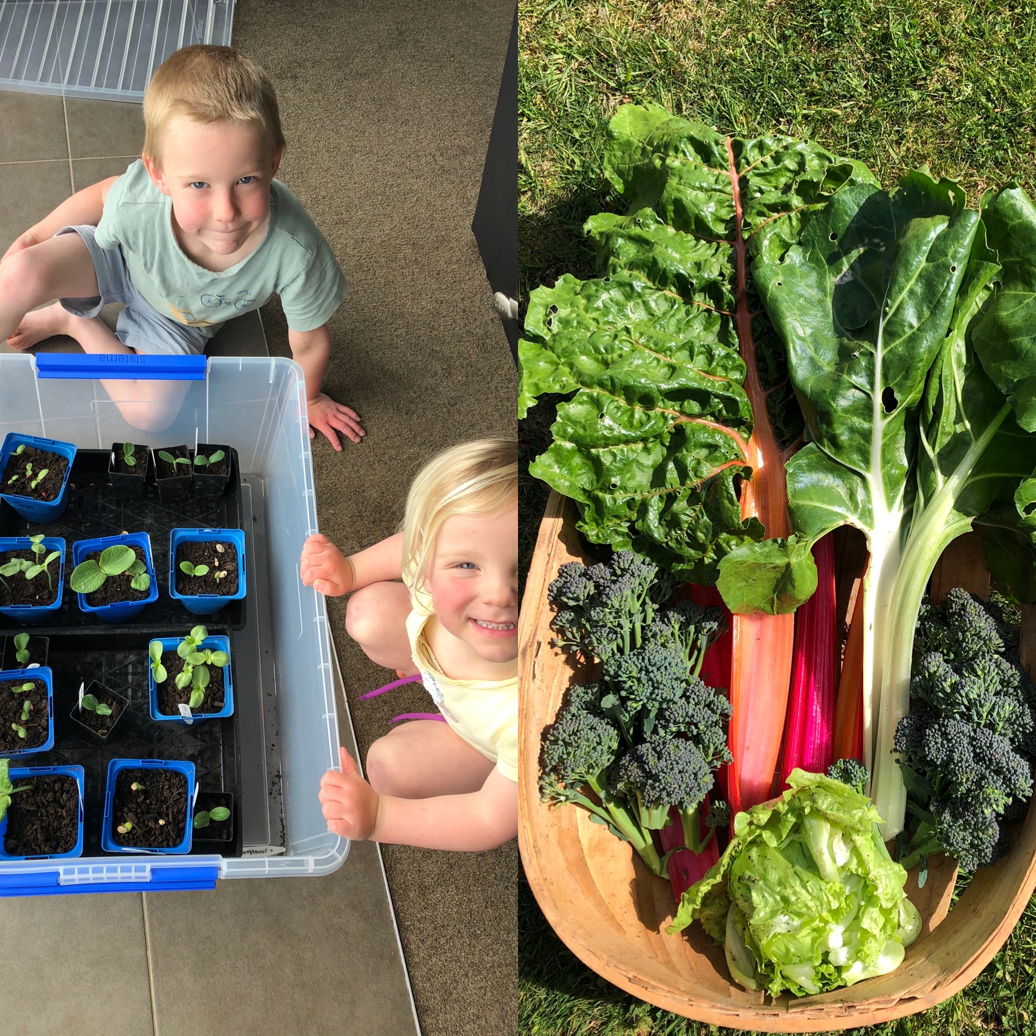 They are up, and kids are thrilled! 