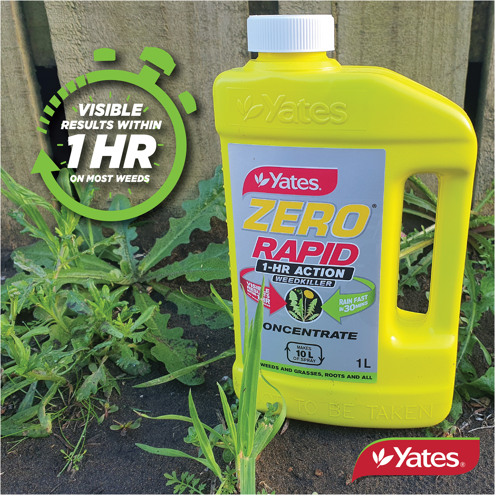 Yates Web Info ZERO RAPID V2 18