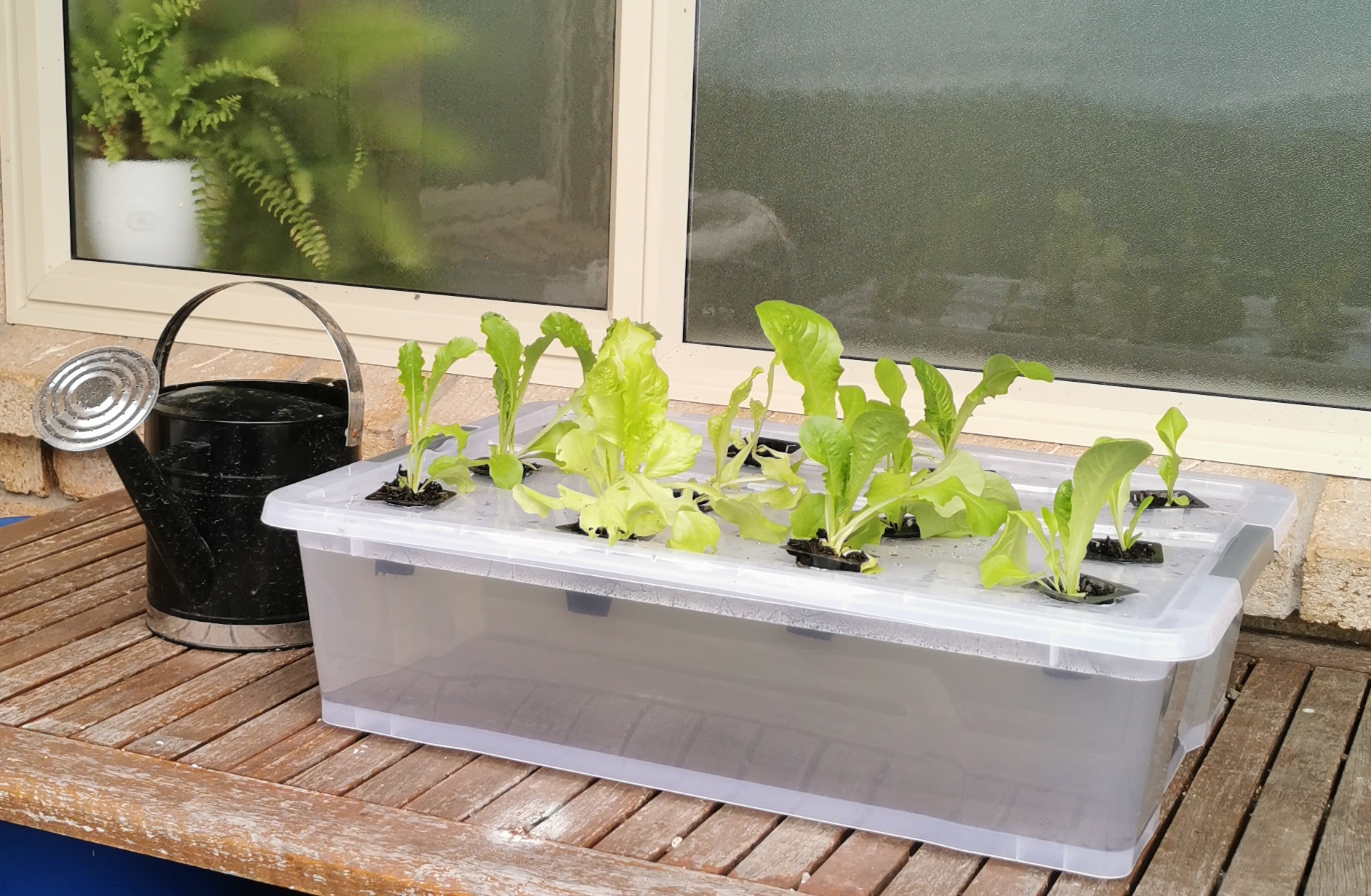 Kratky.. What is it? 