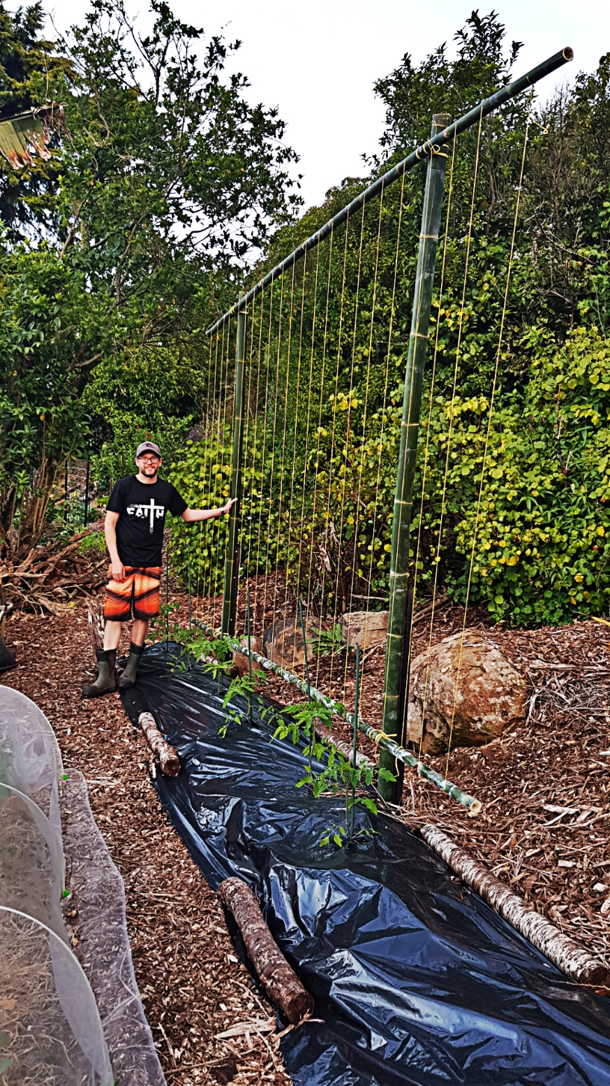 Sometimes I Get Carried Away