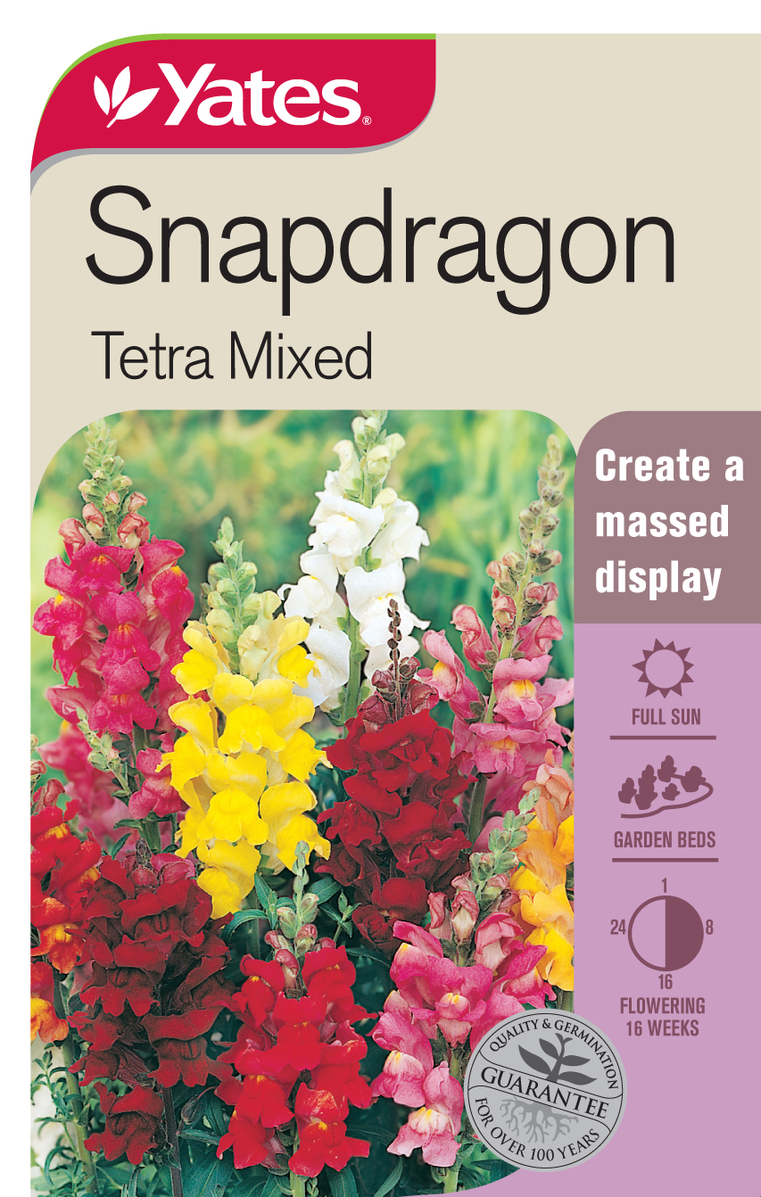 18515 Yates Flwr Snapdragon Tetra Packet Seed