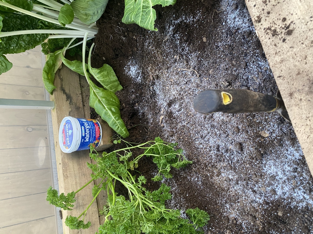 Hindsight should come sooner