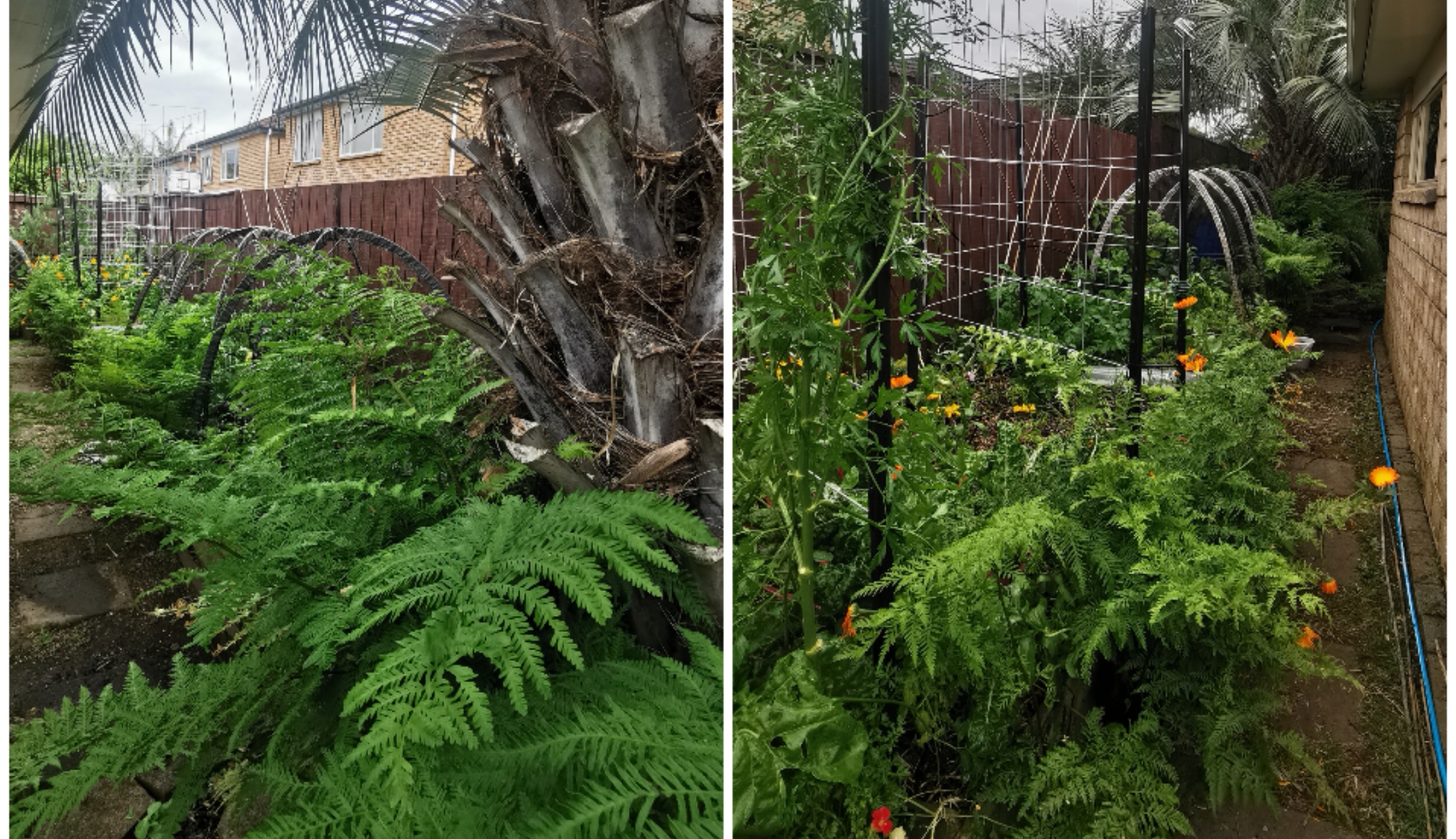 A walk around the Garden, part 4