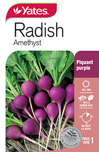 Radish 'Amethyst'