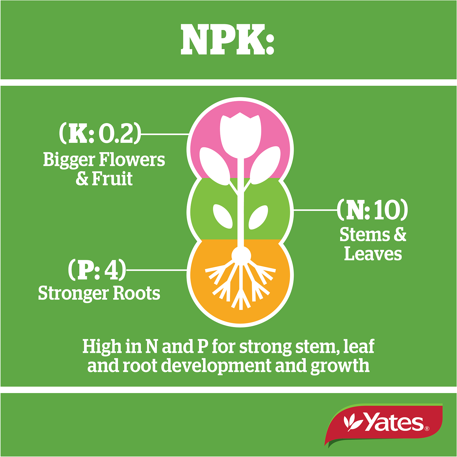 Yates Blood & Bone Fert V2 05