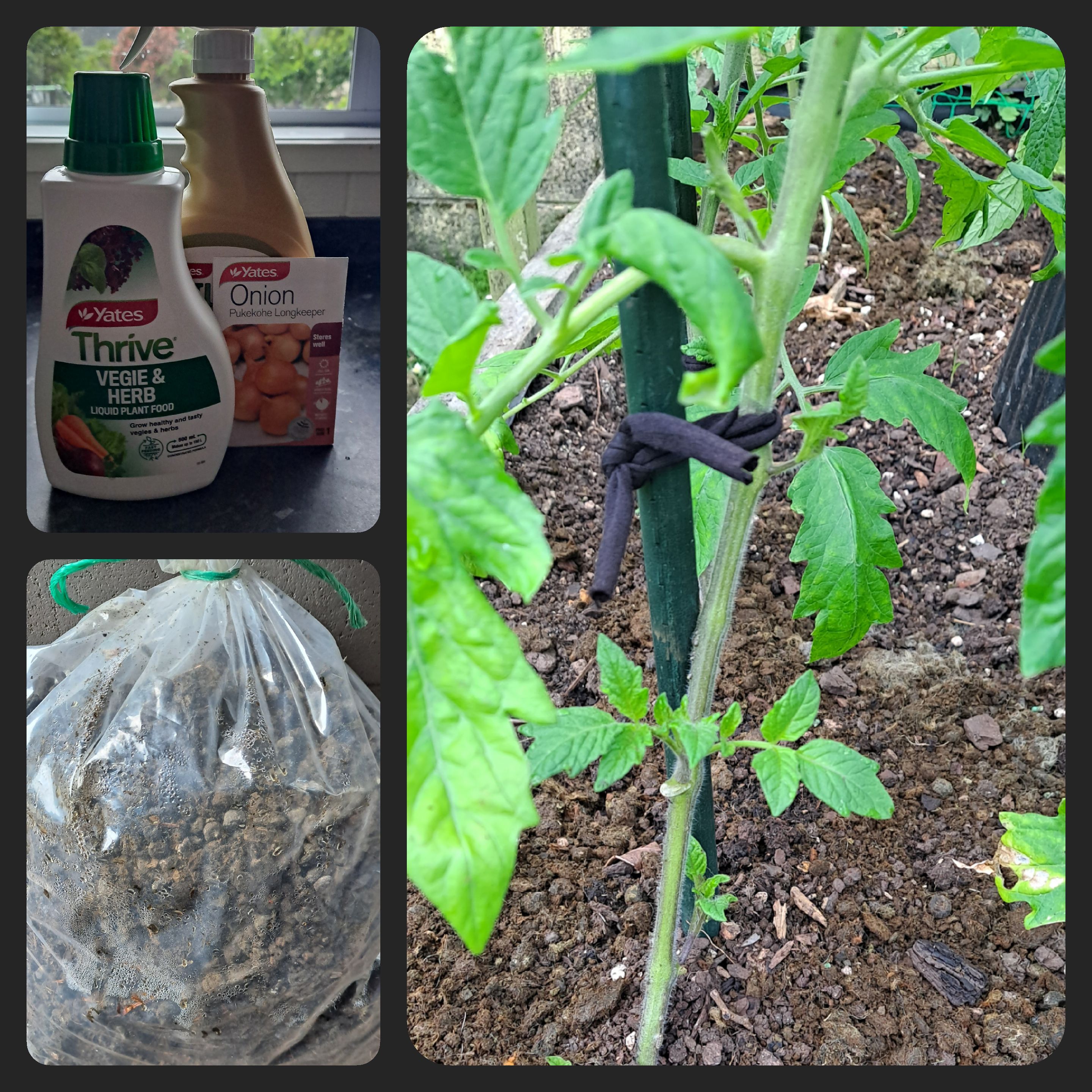 Letting Nature Do Its Thing