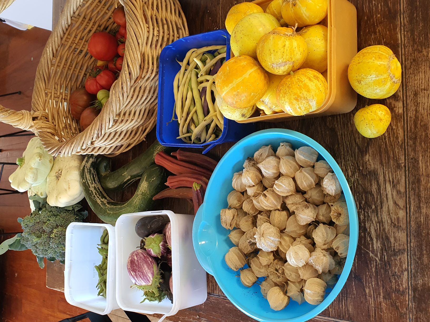 Welcome to February!