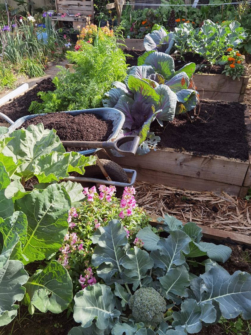 Making a Dent in the Compost Pile