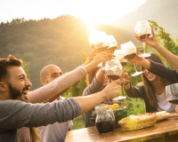 Summer lawn care tips