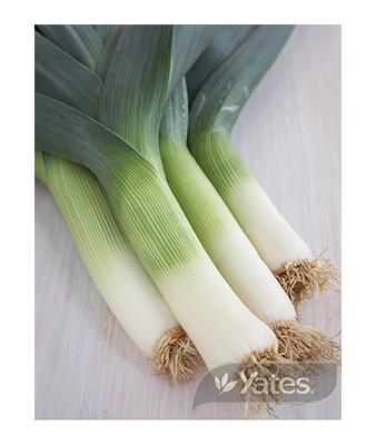 Leek Welsh Wonder Product