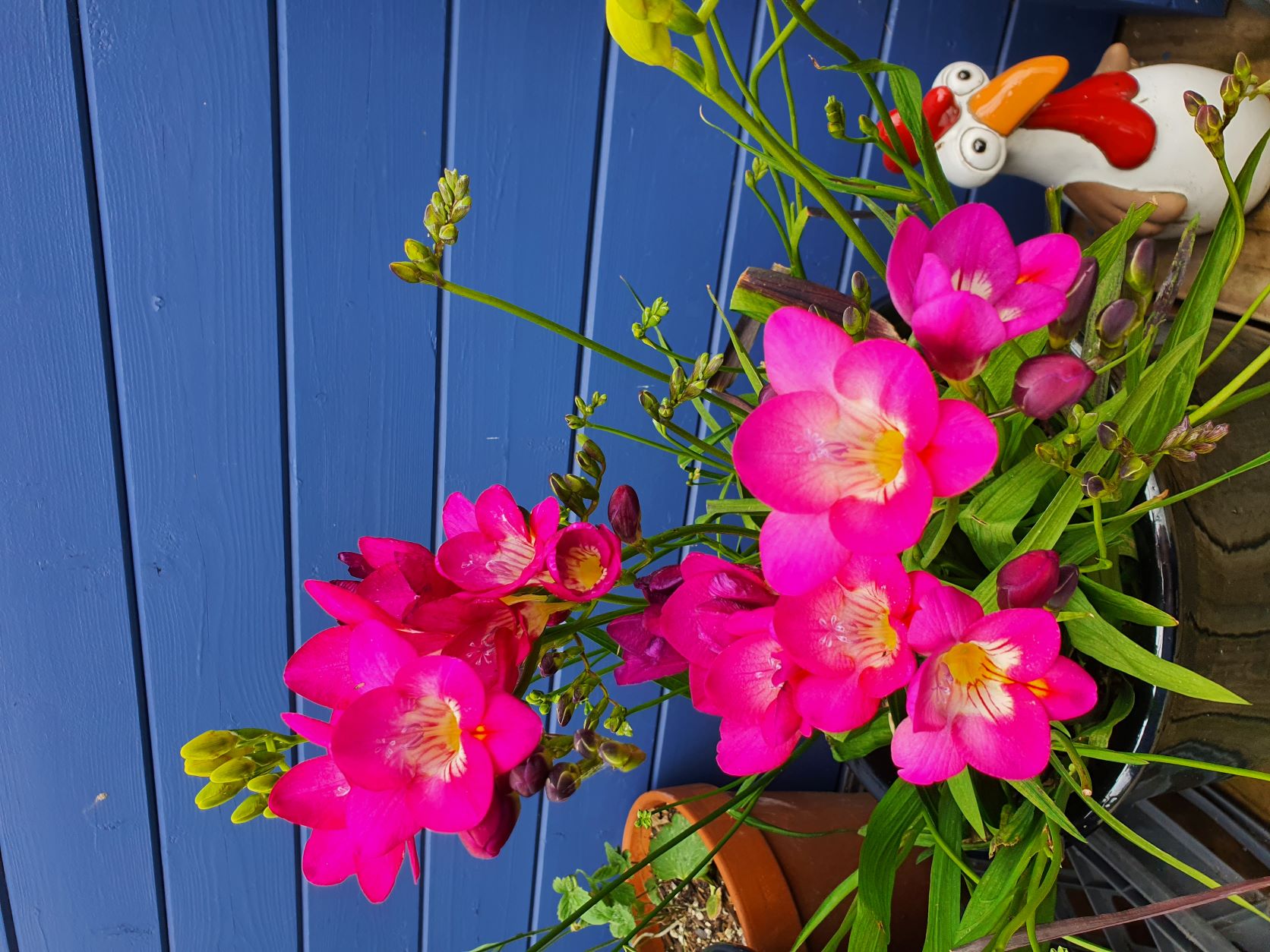 Can I get a drum roll please….