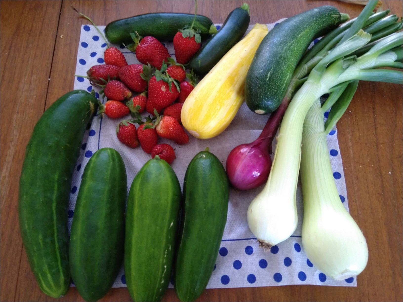 Mini Harvest = Happy Kids!