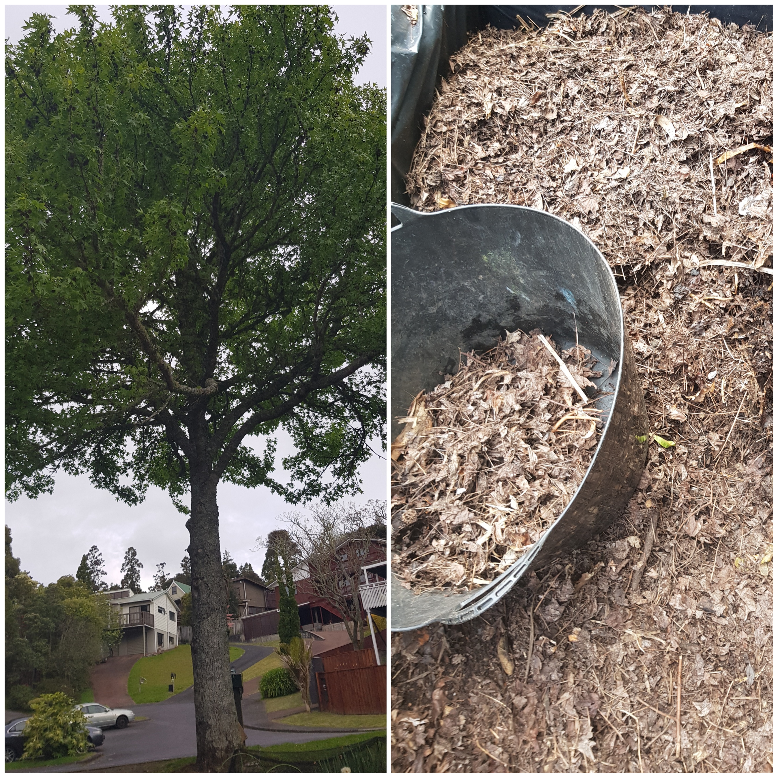 Making The Most Out Of What You Have