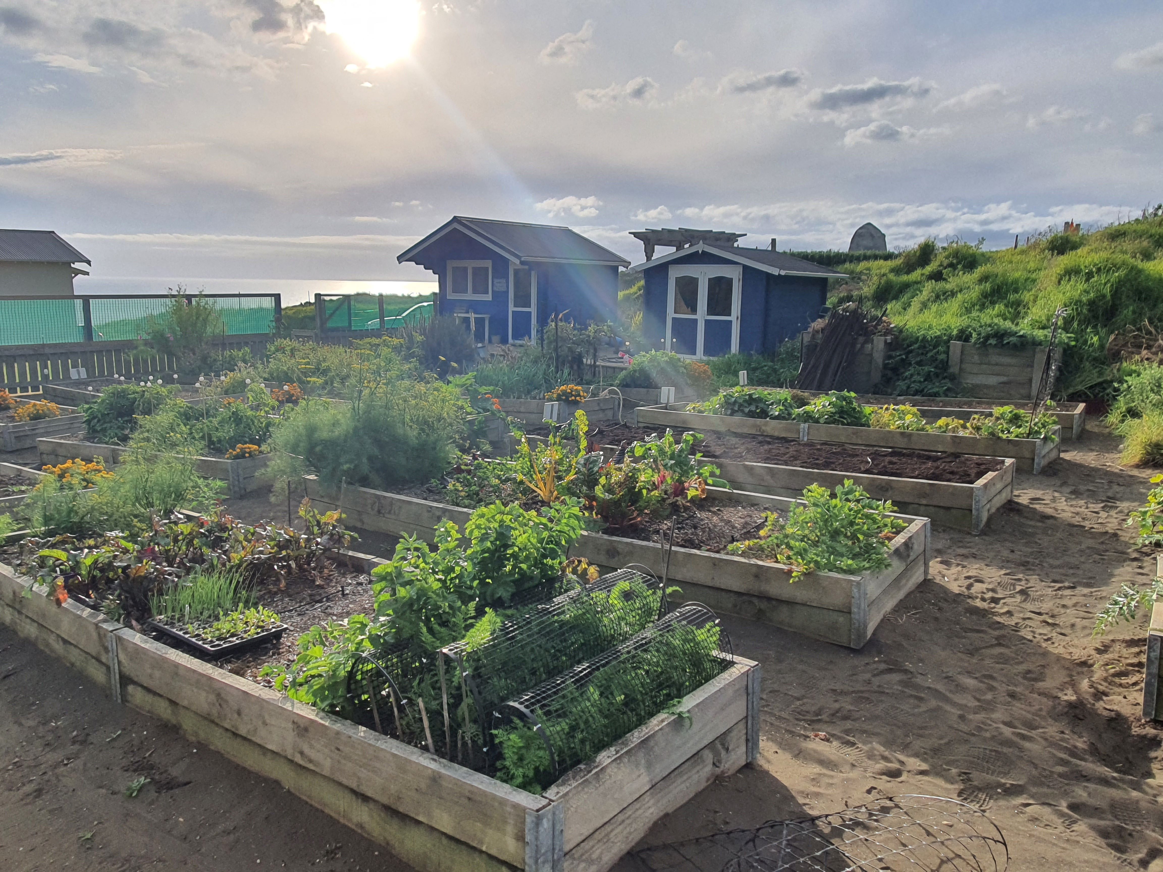 Does anyone know how to slow things down?