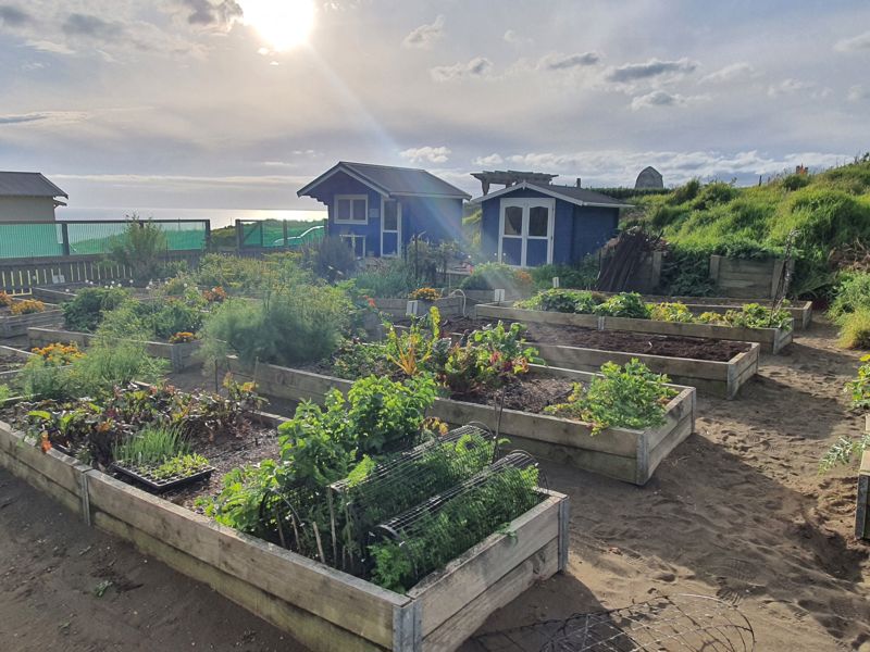 Does anyone know how to slow things down?