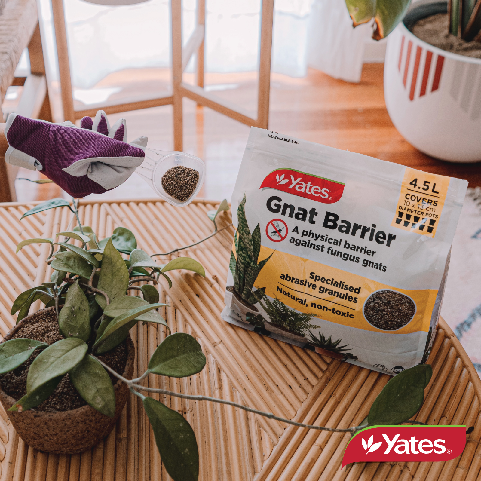 Yates Web Info GNAT BARRIER8