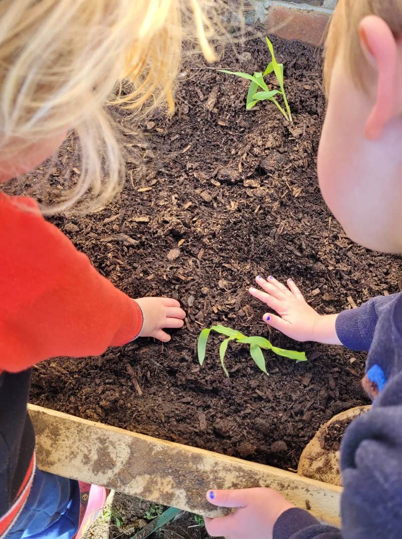 What to add to our gaden?