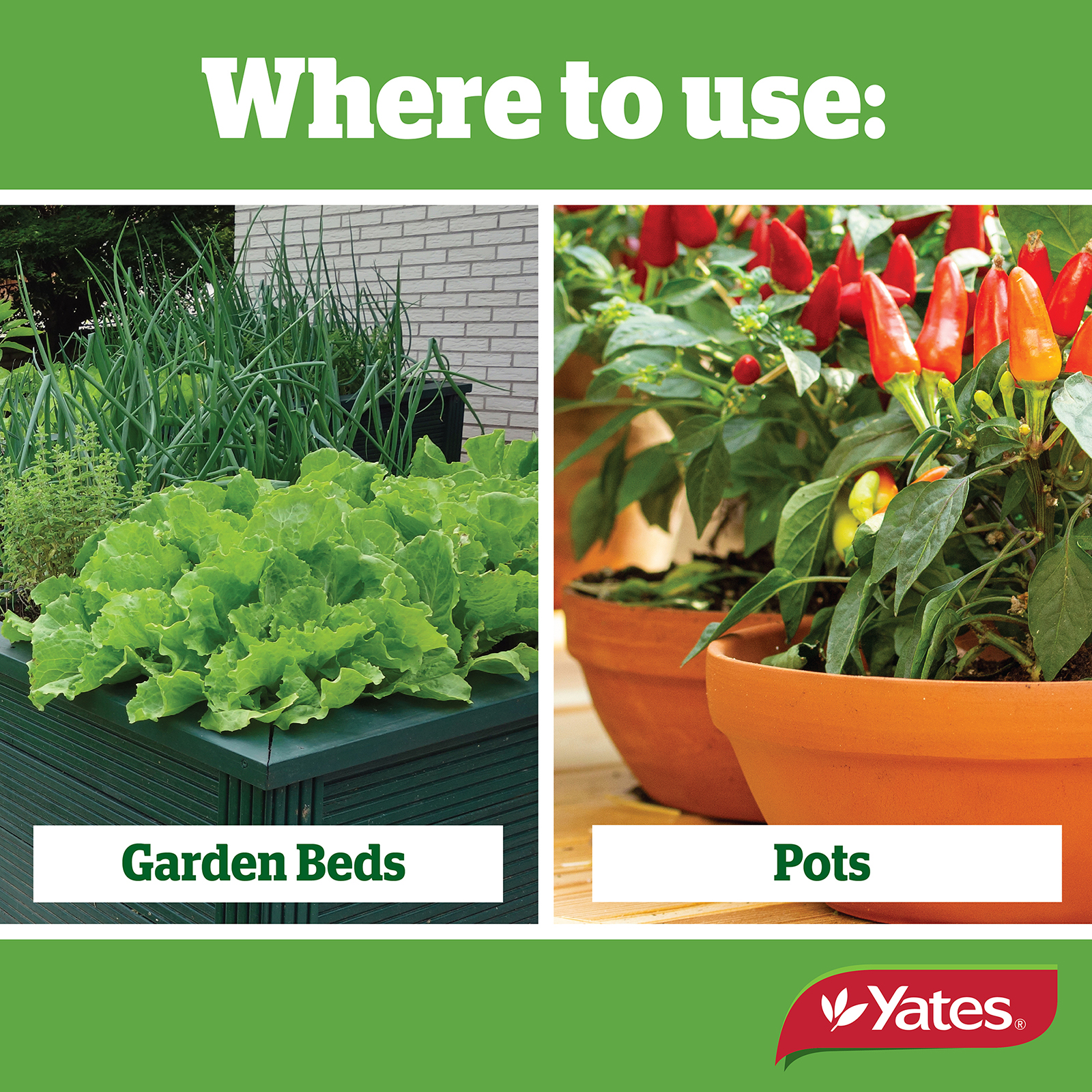 Yates Web Info MAVRIK 03