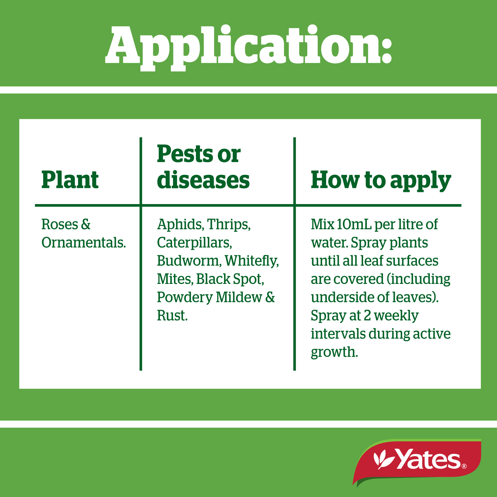 Yates Web Info SUPER SHIELD4